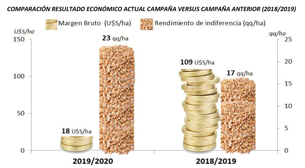 Informe económico del cierre de la campaña 2019/20 de cebada en el Sudoeste bonaerense