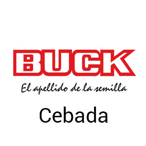 Buck Semillas - Cebada