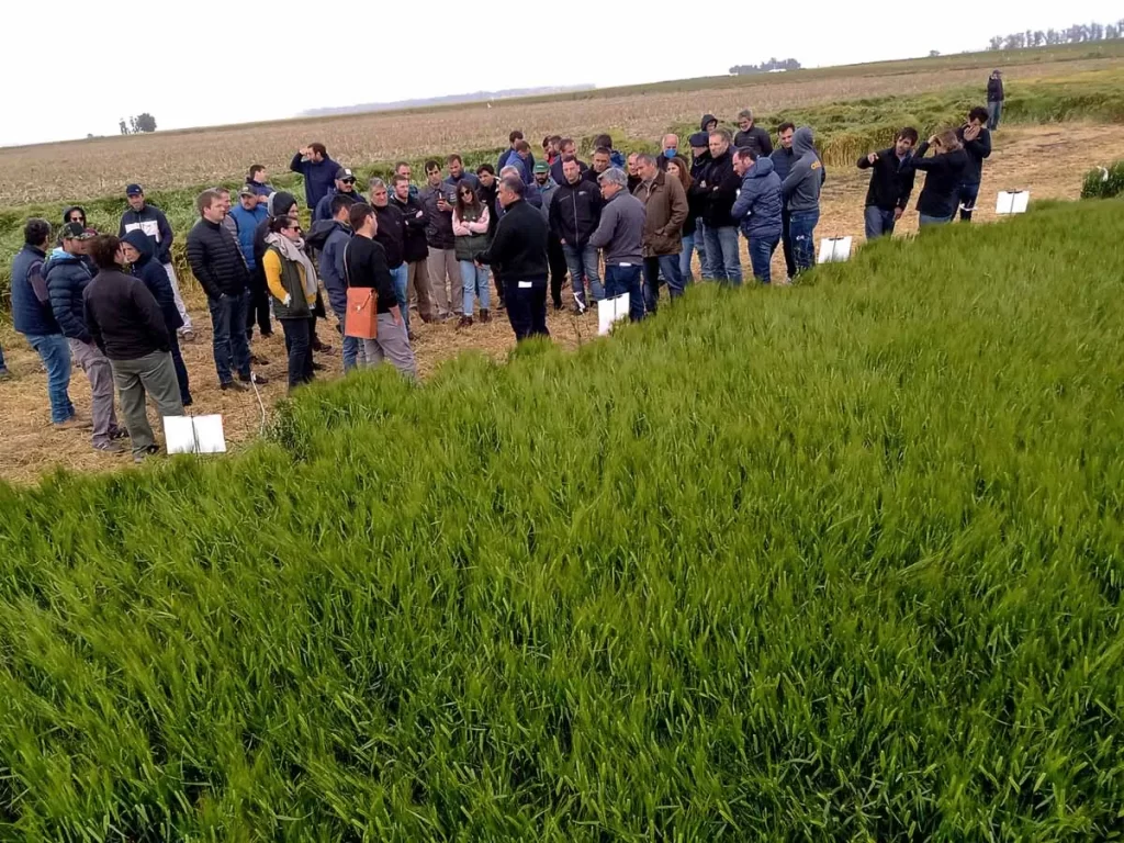 Jornada de Cebada en Orense 2021 - 01