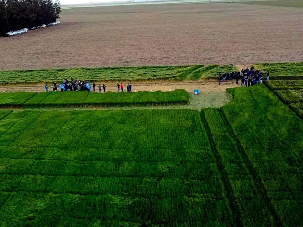 Jornada de Cebada 2021 - Orense 16/11/21