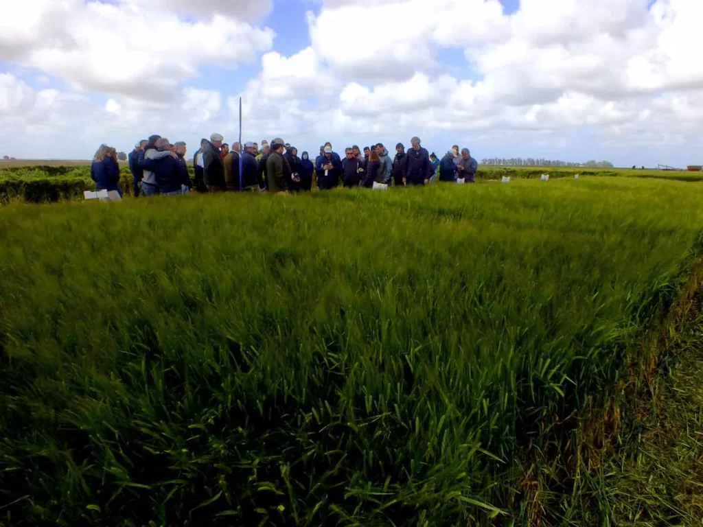 Jornada de Cebada 2021 - Orense 16/11/21