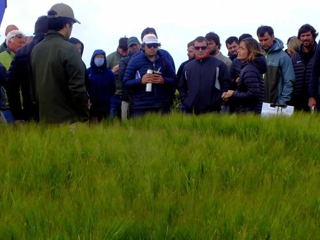 Jornada de Cebada 2021 - Orense 16/11/21