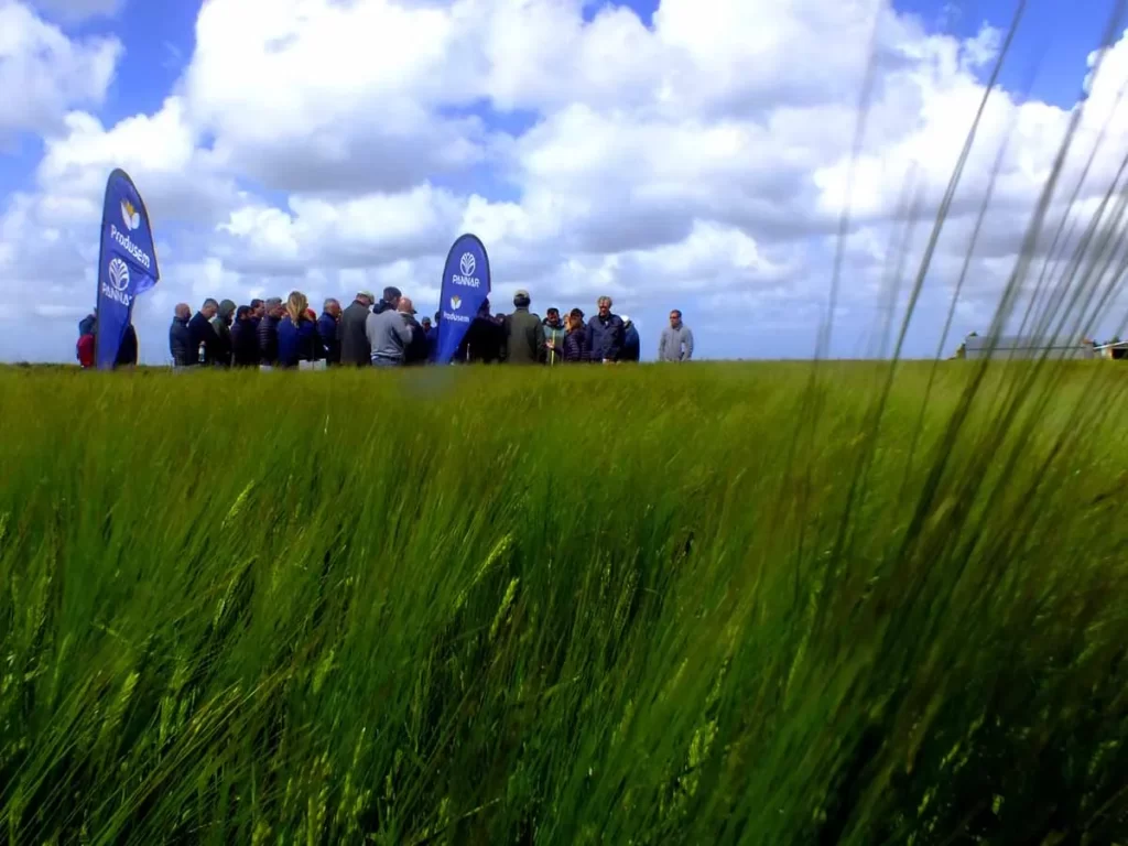 Jornada de Cebada 2021 - Orense 16/11/21