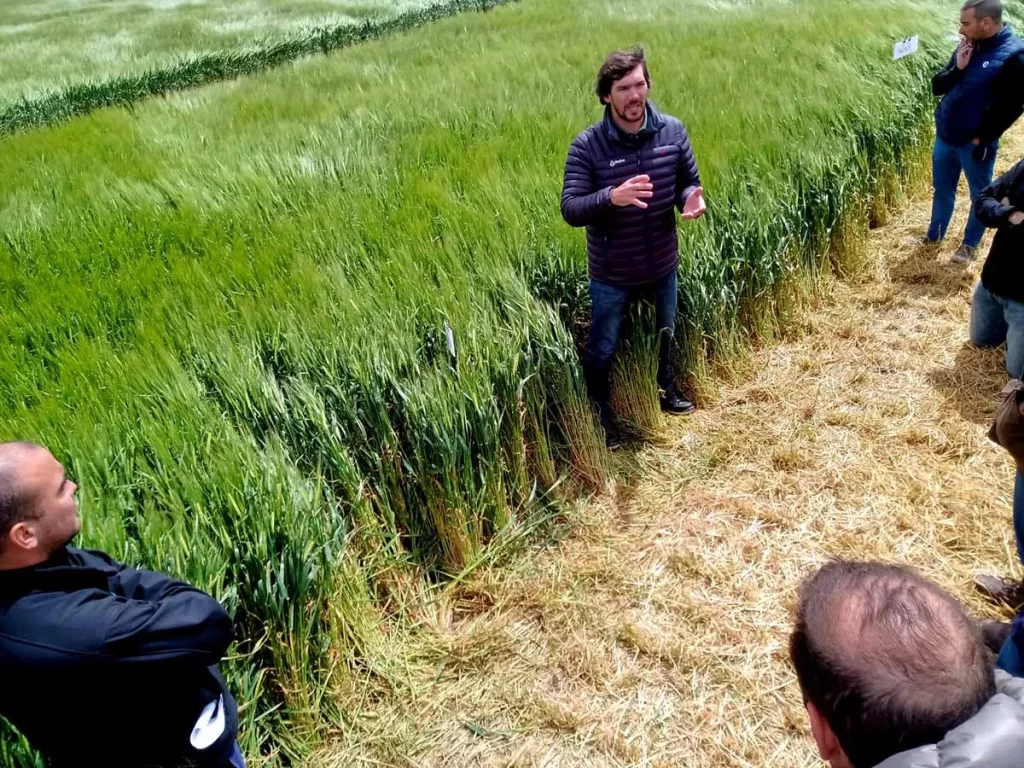 Jornada de Cebada 2021 - Orense 16/11/21