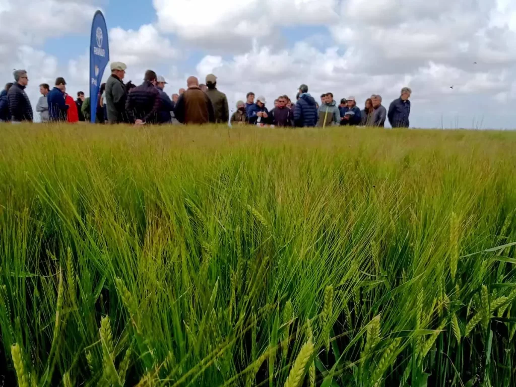 Jornada de Cebada 2021 - Orense 16/11/21
