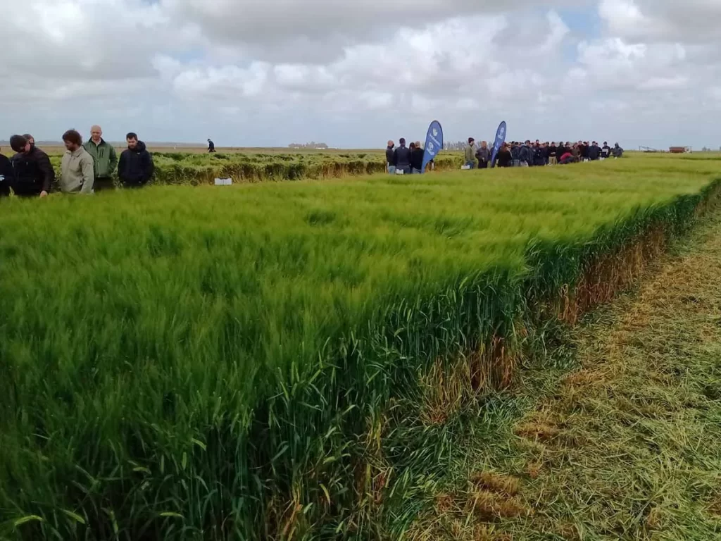 Jornada de Cebada 2021 - Orense 16/11/21