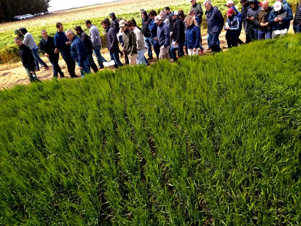 Jornada de Cebada 2021 - Orense 16/11/21