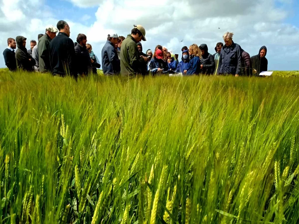 Jornada de Cebada 2021 - Orense 16/11/21