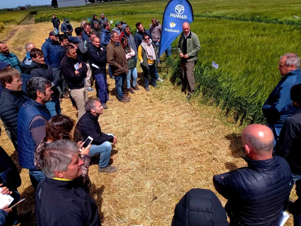 Jornada de Cebada 2021 - Orense 16/11/21