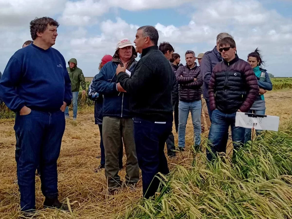 Jornada de Cebada 2021 - Orense 16/11/21