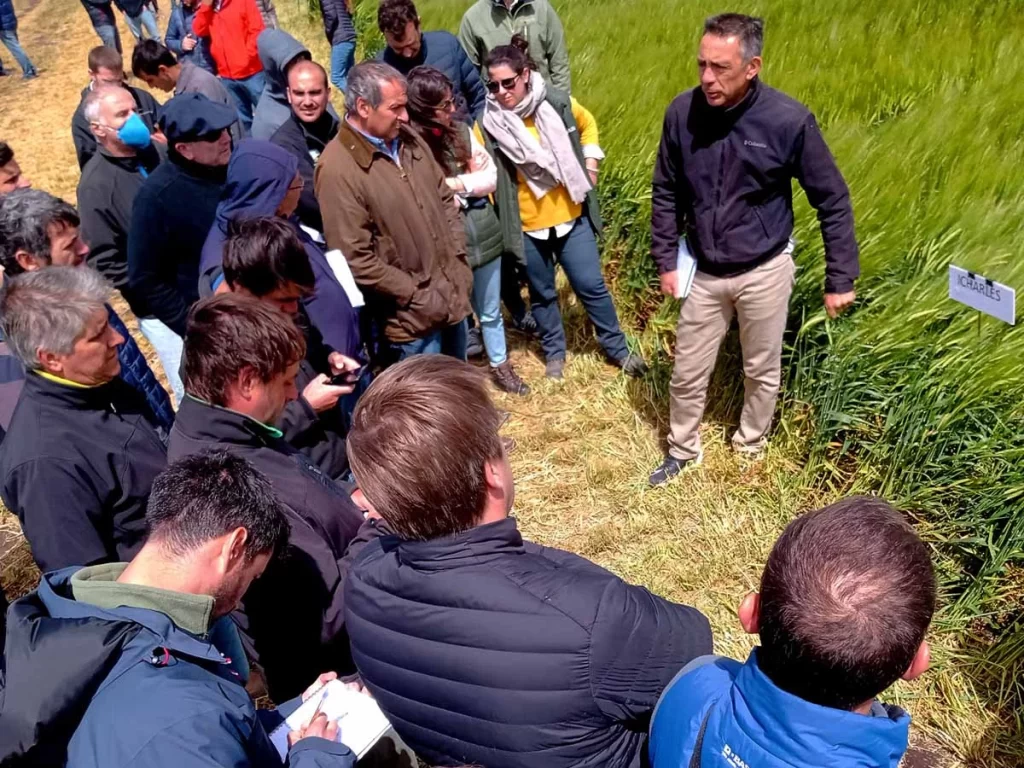 Jornada de Cebada 2021 - Orense 16/11/21