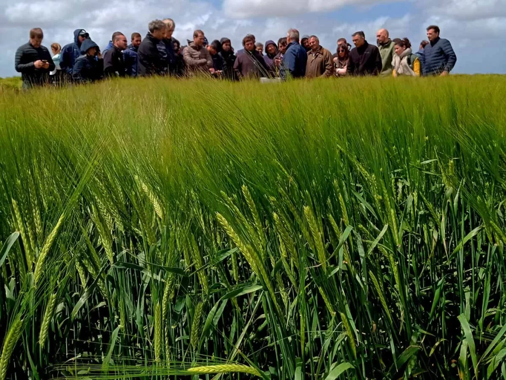 Jornada de Cebada 2021 - Orense 16/11/21
