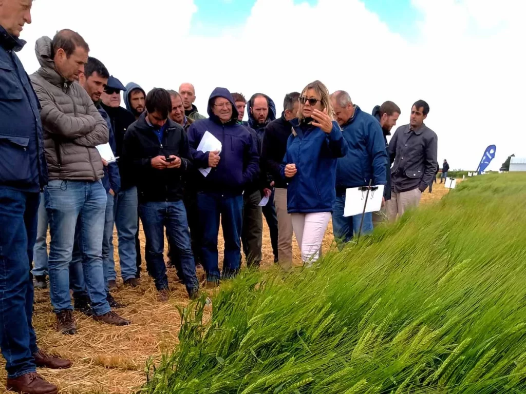 Jornada de Cebada 2021 - Orense 16/11/21