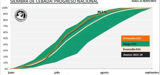 Cebada - Avance de la siembra en Argentina - Datos de la Bolsa de Cereales
