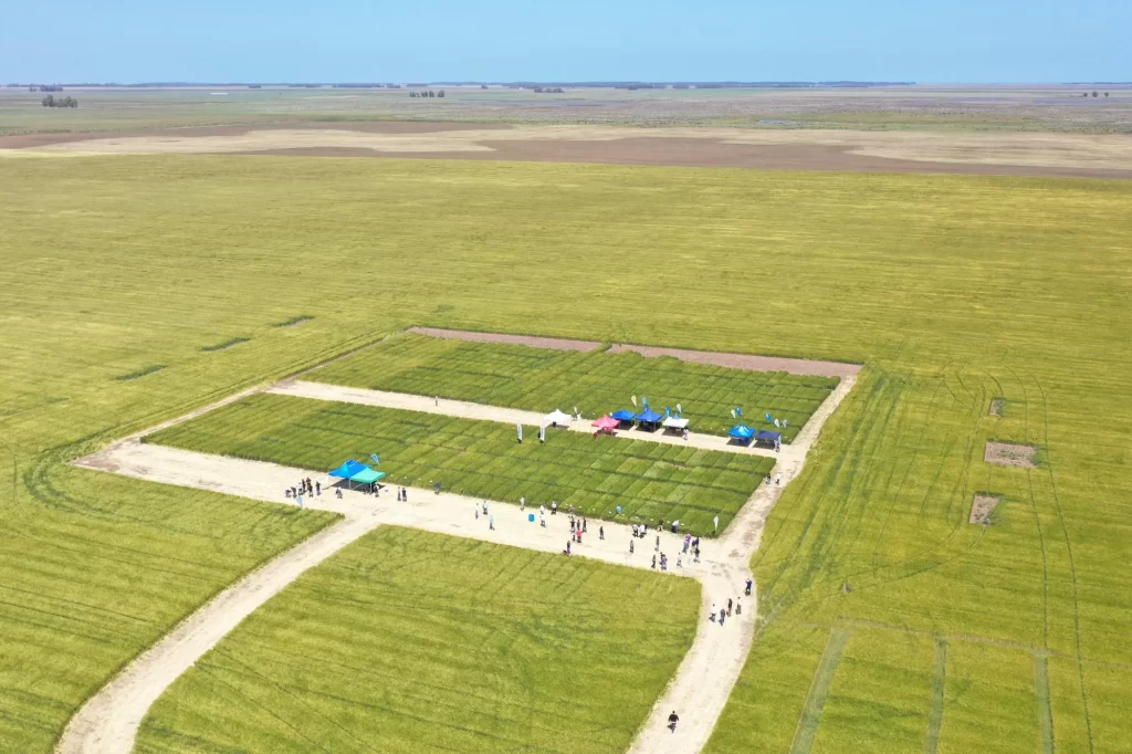 Jornada de Cebada - Orense 2023