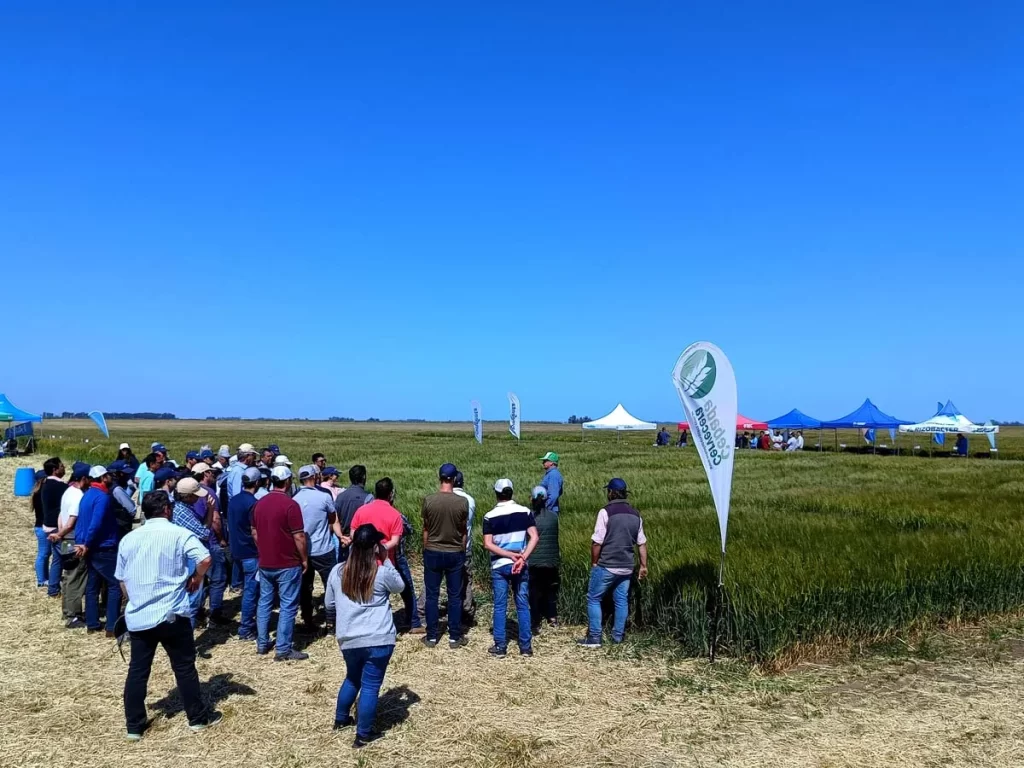 Jornada de Cebada - Orense 2023