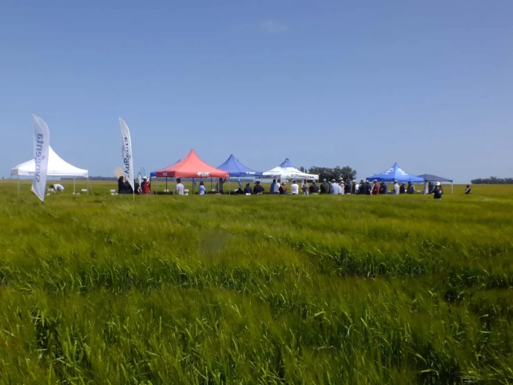 Jornada de Cebada - Orense 2023