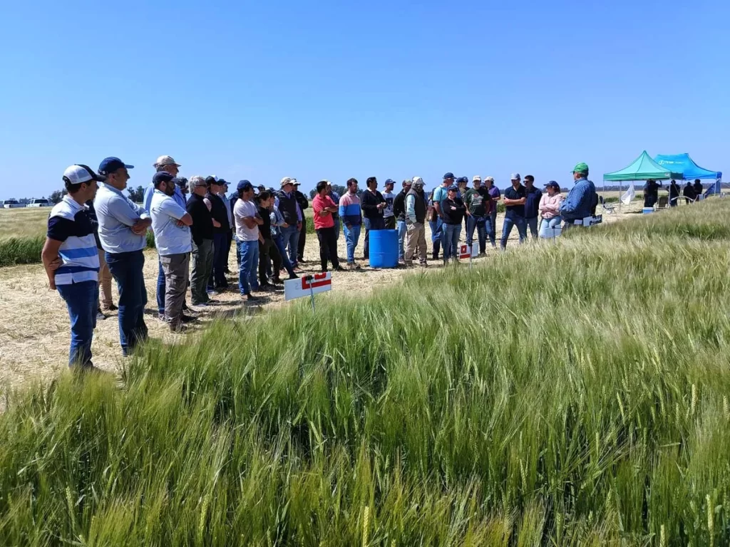 Jornada de Cebada - Orense 2023