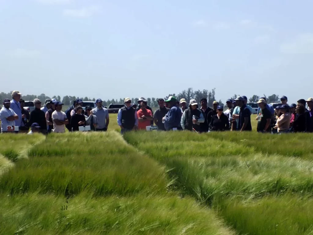 Jornada de Cebada - Orense 2023