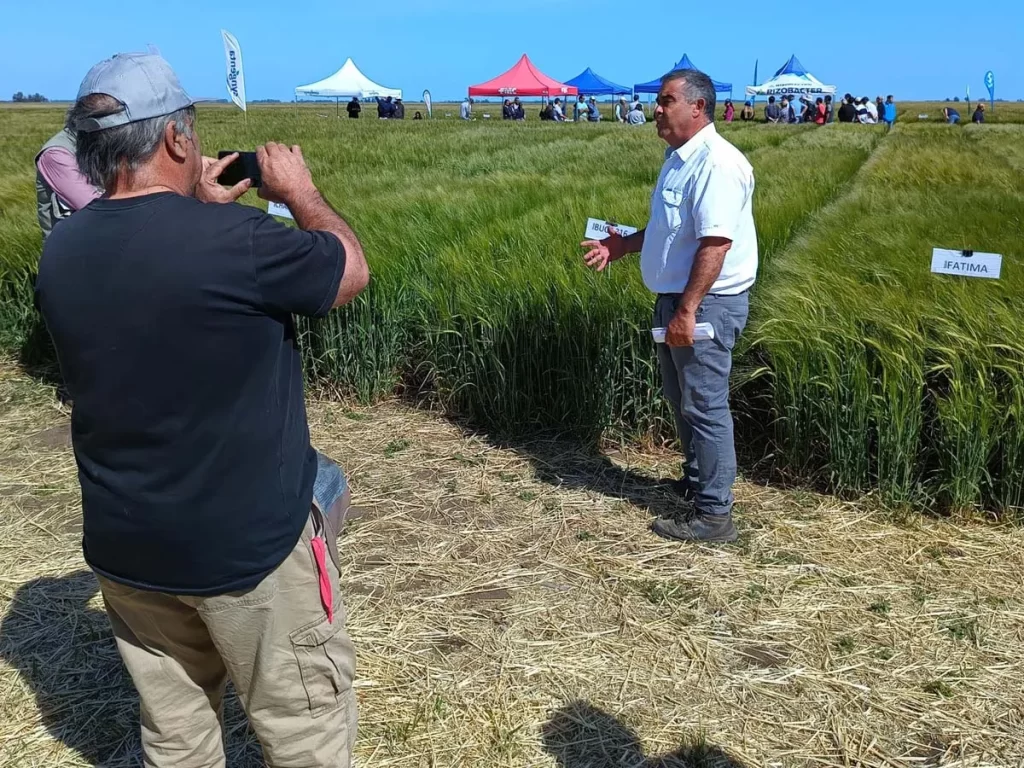 Jornada de Cebada - Orense 2023