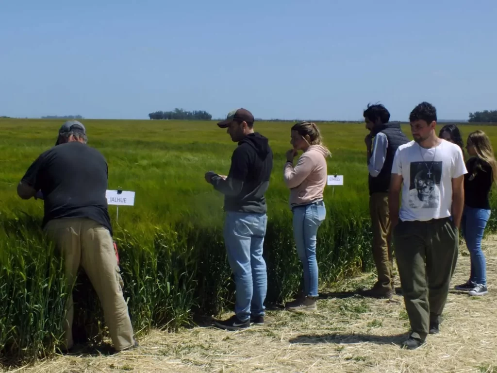 Jornada de Cebada - Orense 2023