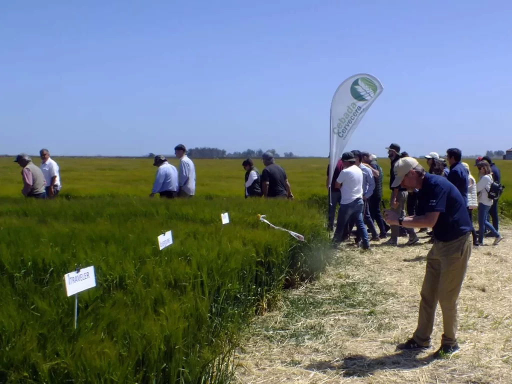 Jornada de Cebada - Orense 2023