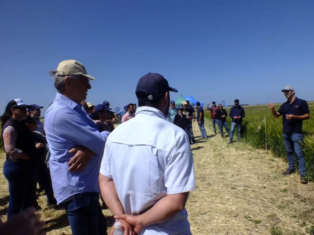 Jornada de Cebada - Orense 2023