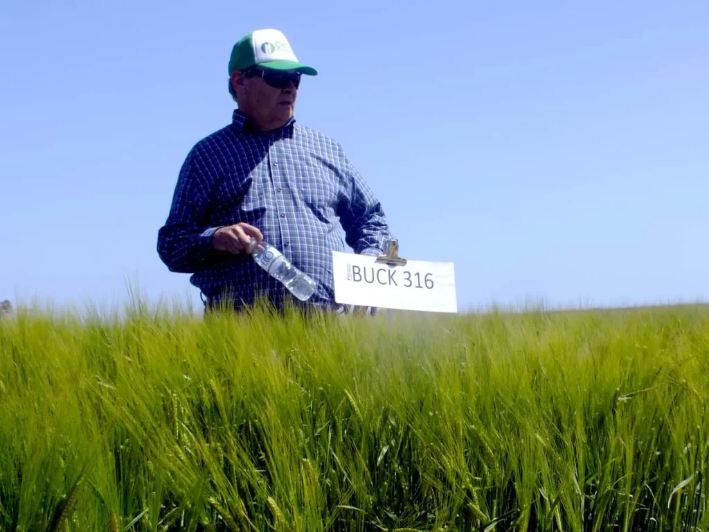 Jornada de Cebada - Orense 2023