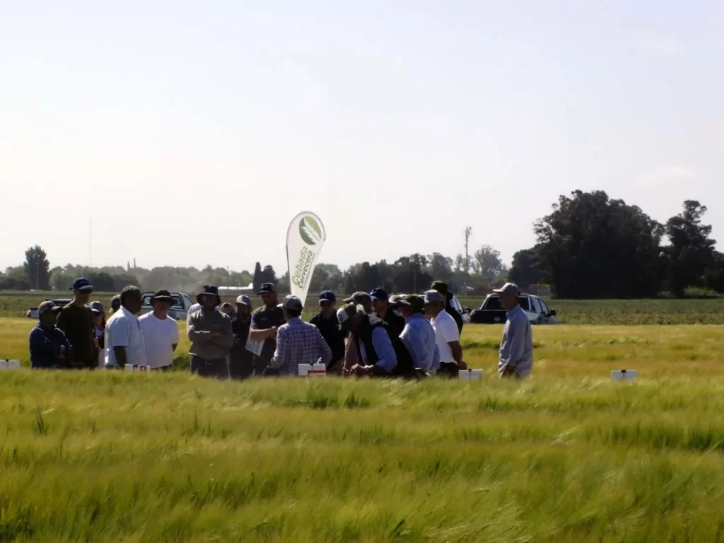 Jornada de Cebada - Orense 2023