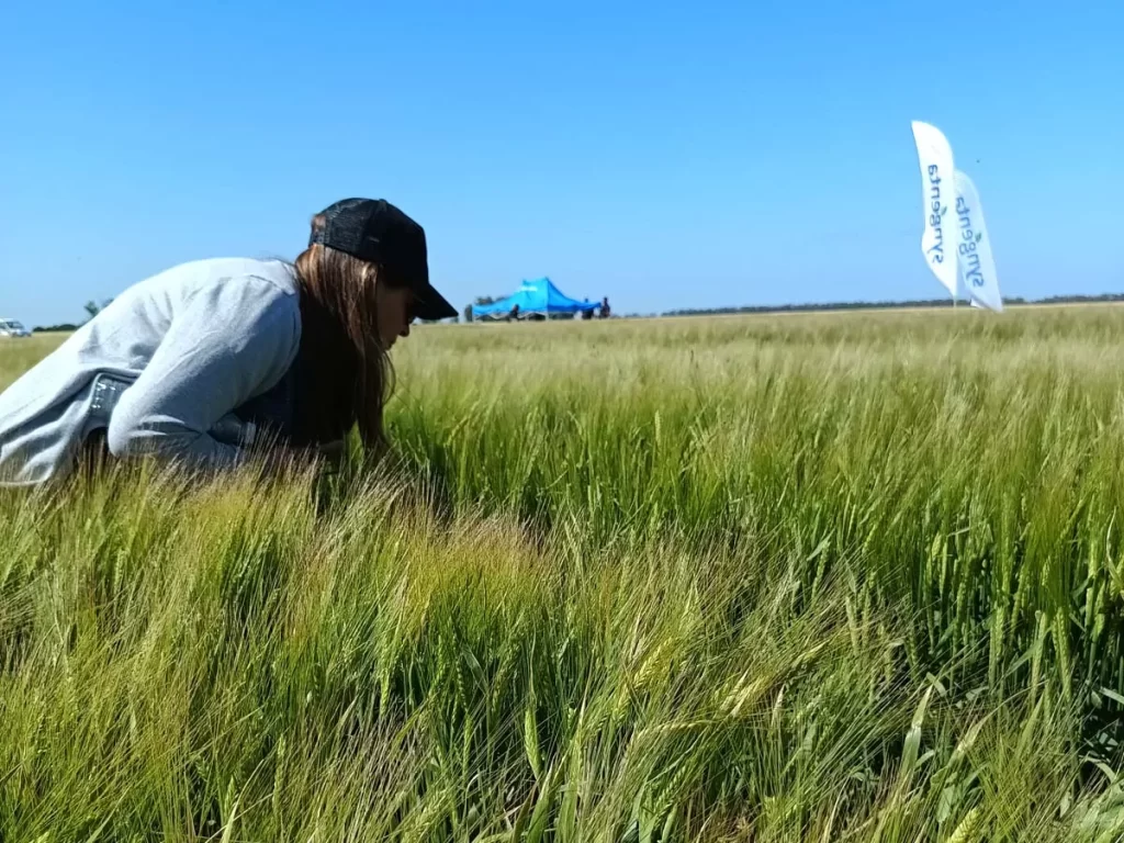 Jornada de Cebada - Orense 2023
