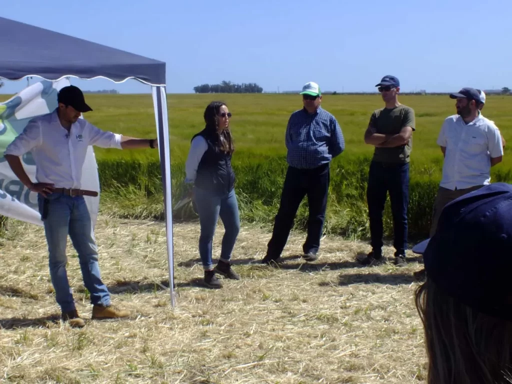 Jornada de Cebada - Orense 2023