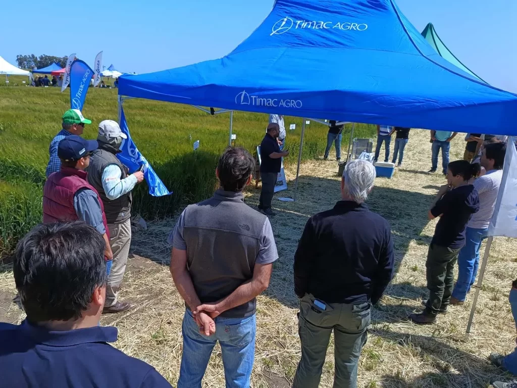 Jornada de Cebada - Orense 2023