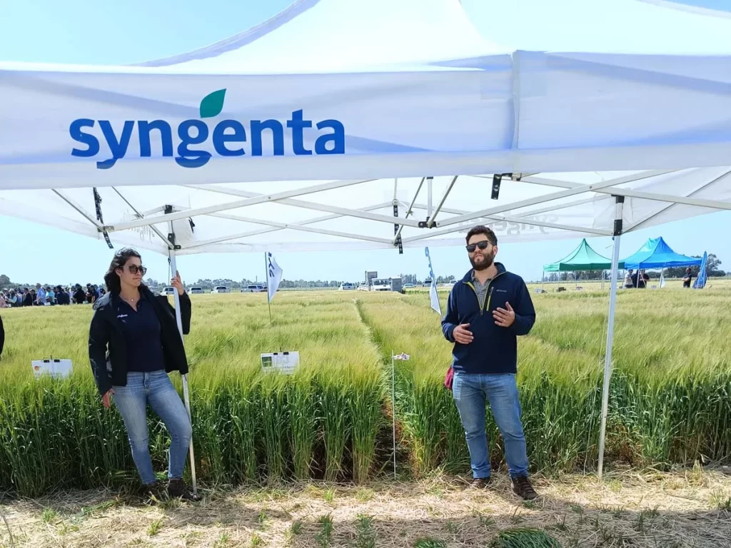 Jornada de Cebada - Orense 2023