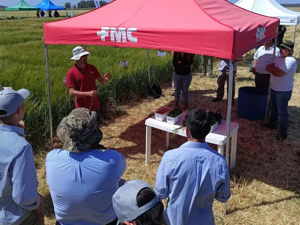 Jornada de Cebada - Orense 2023