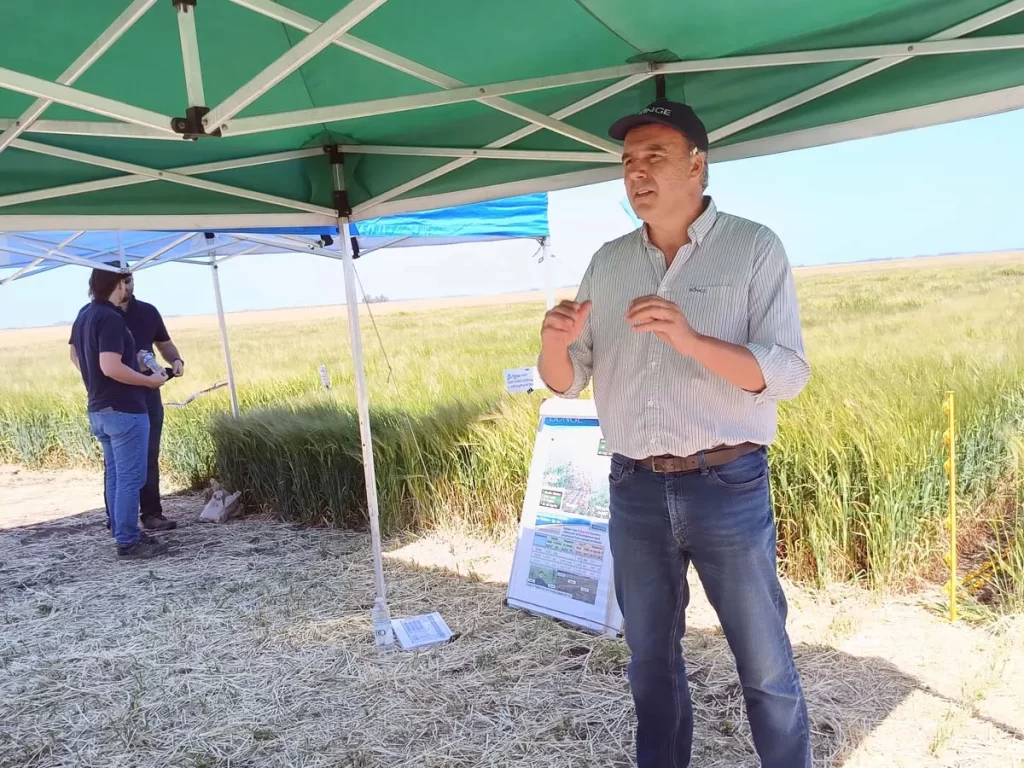 Jornada de Cebada - Orense 2023