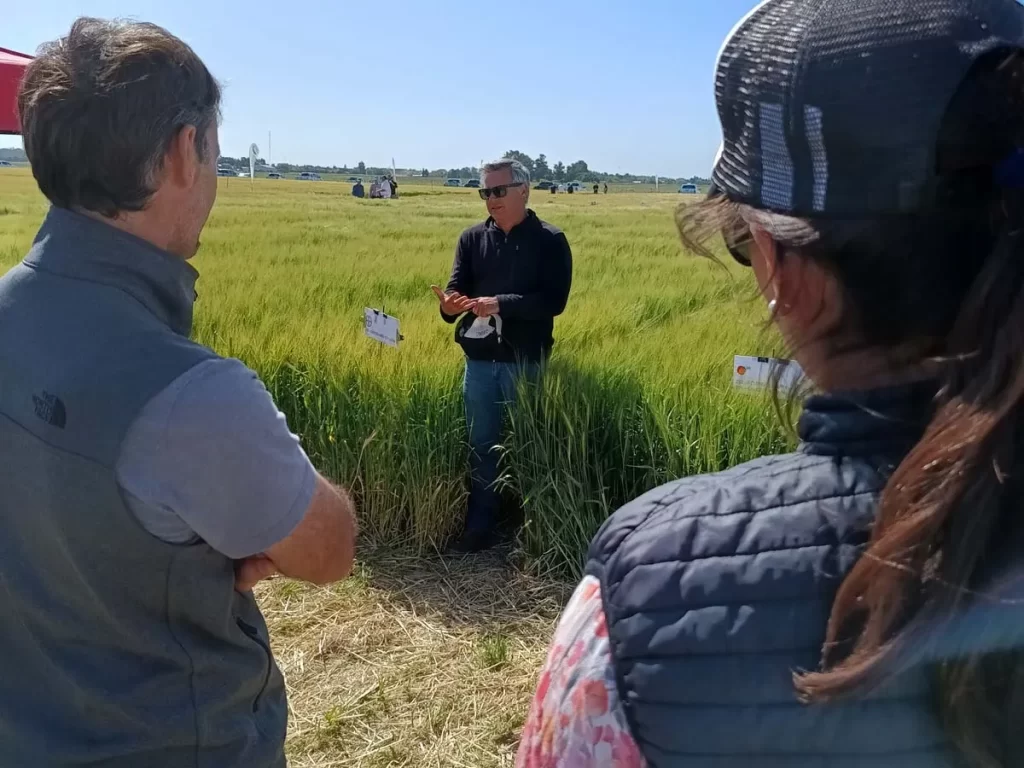 Jornada de Cebada - Orense 2023