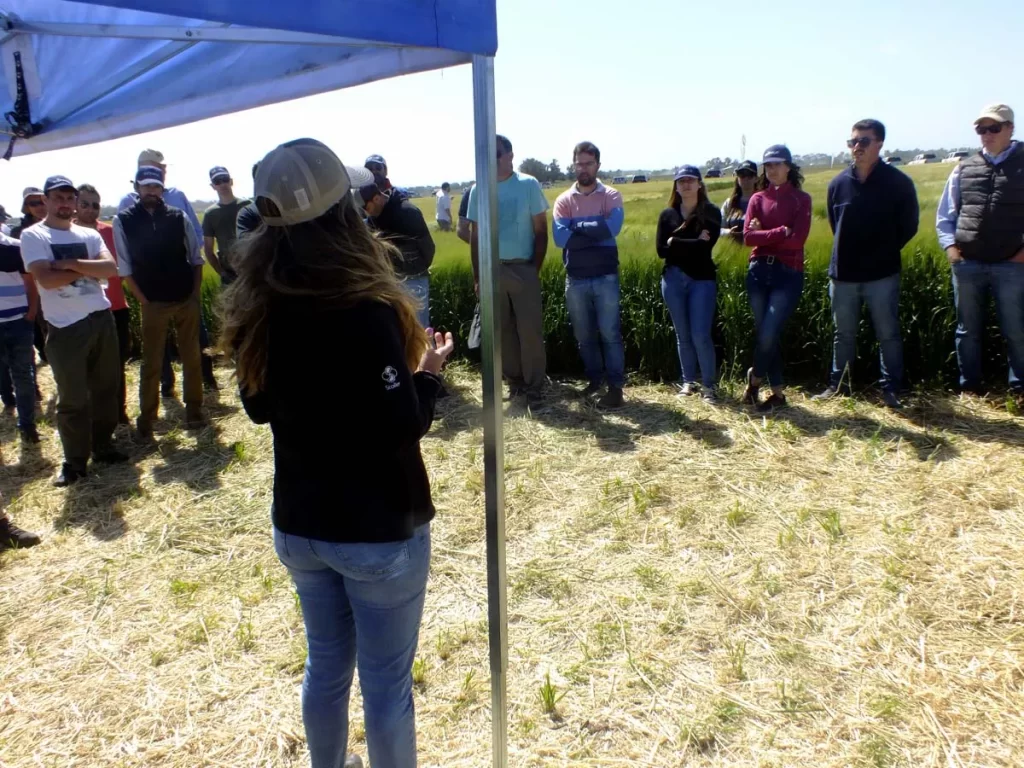 Jornada de Cebada - Orense 2023