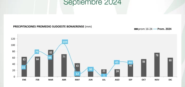 Lluvias en el Sudoeste bonaerense - Septiembre 2024