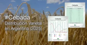 Cebada: distribución varietal estimada en Argentina