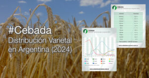 Cebada: distribución varietal estimada en Argentina (2024)