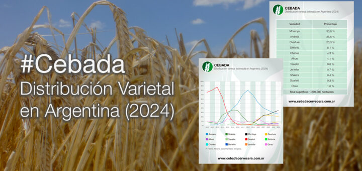 Cebada: distribución varietal estimada en Argentina (2024)