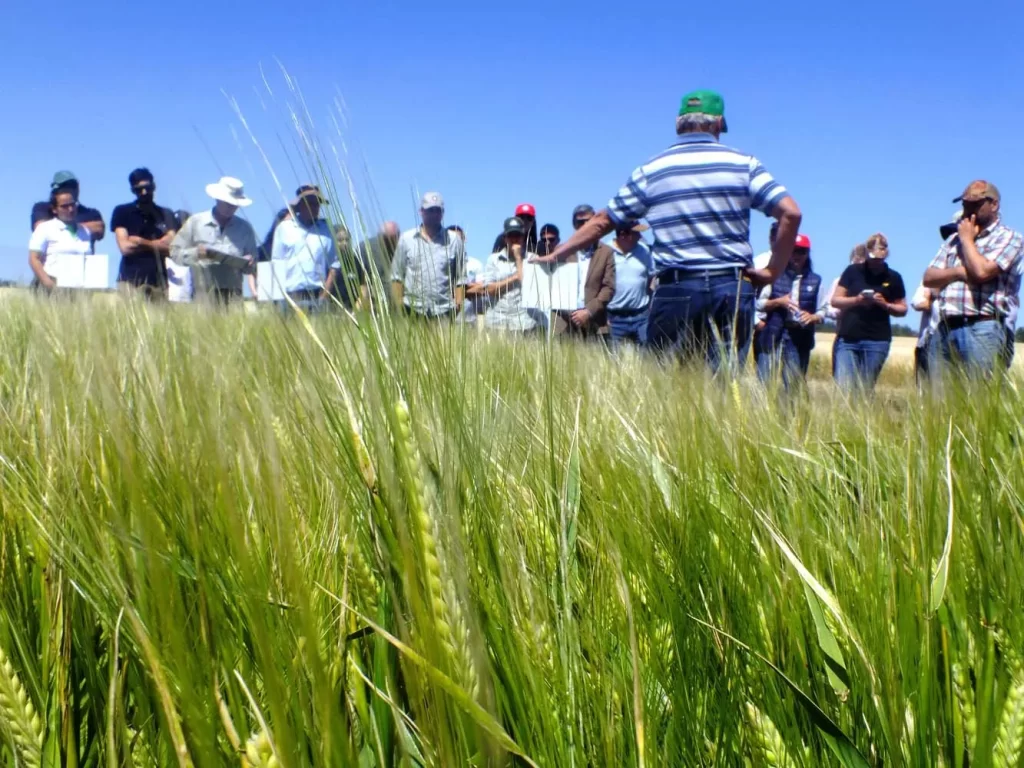 Jornada de Cebada - Orense 2024