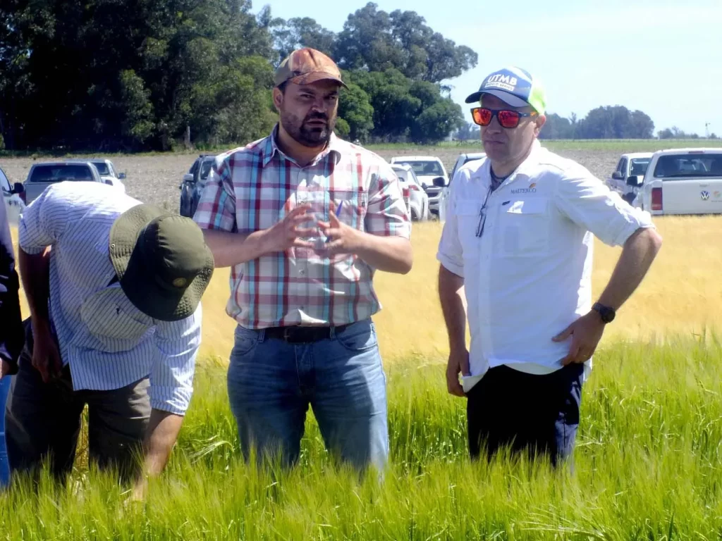 Jornada de Cebada - Orense 2024