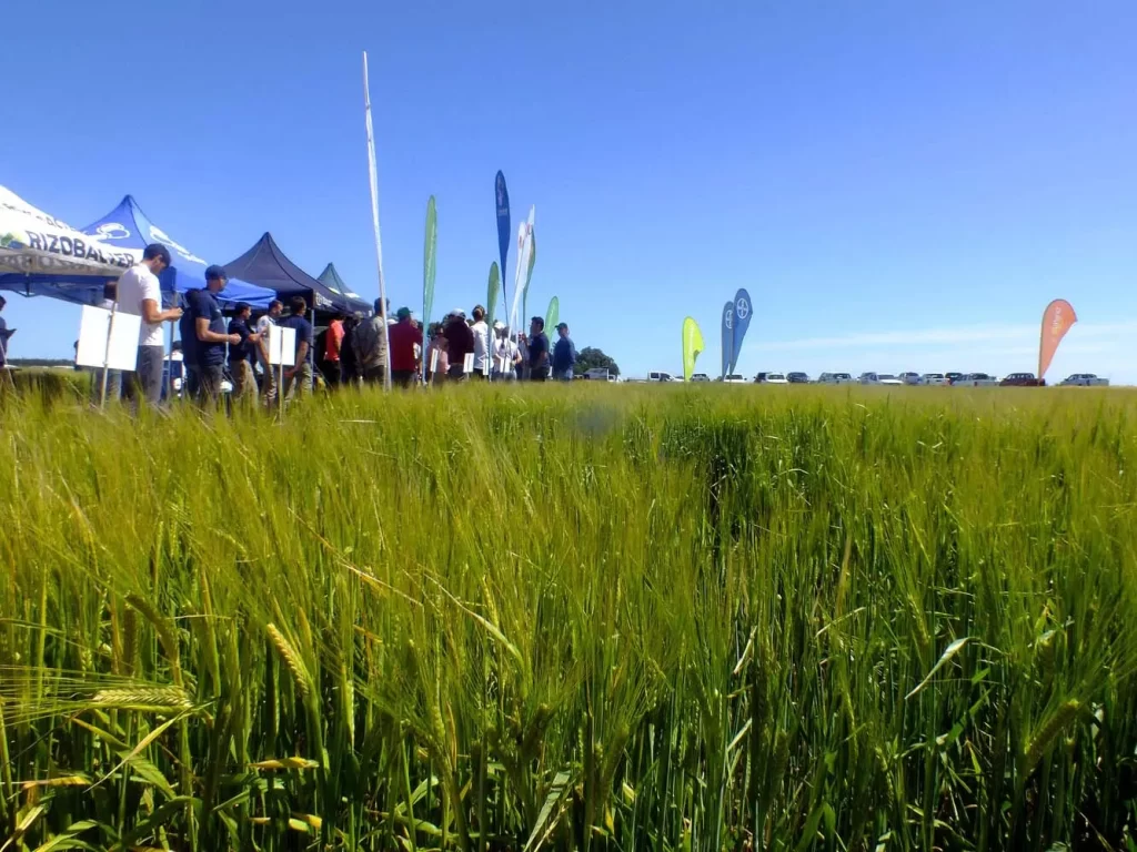 Jornada de Cebada - Orense 2024