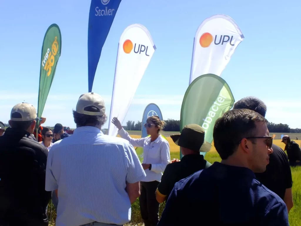 Jornada de Cebada - Orense 2024