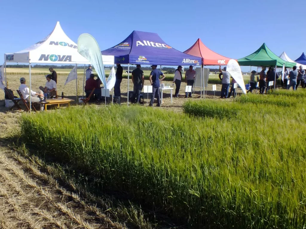 Jornada de Cebada - Orense 2024