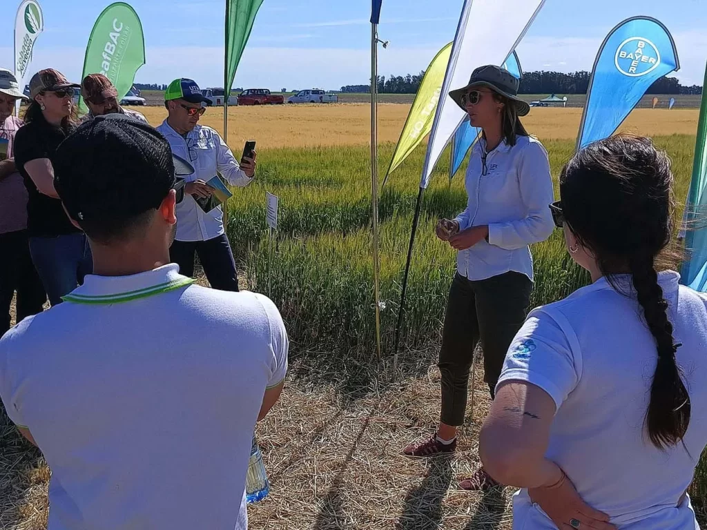 Jornada de Cebada - Orense 2024