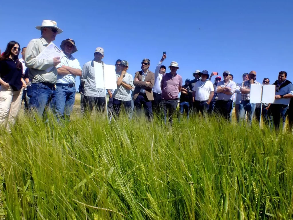 Jornada de Cebada - Orense 2024
