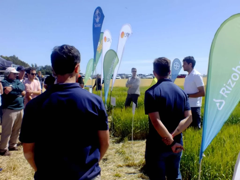 Jornada de Cebada - Orense 2024