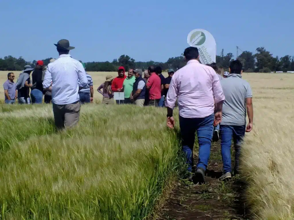 Jornada de Cebada - Orense 2024